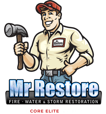 Mr. Restore Core Member Graphic