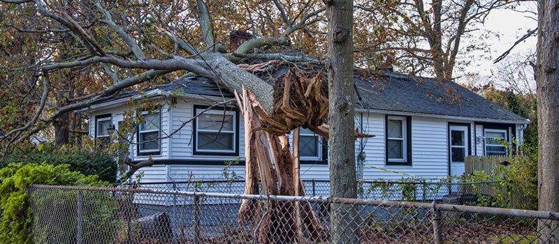 Tree fallen on a residential roof