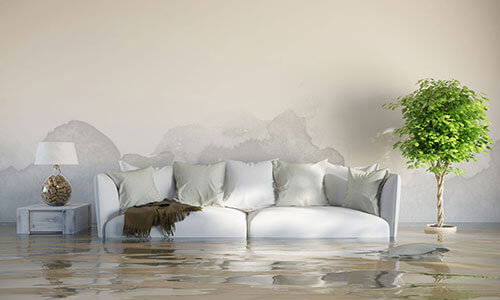 Water & Flood Damage Restoration Services in Lewisville, TX