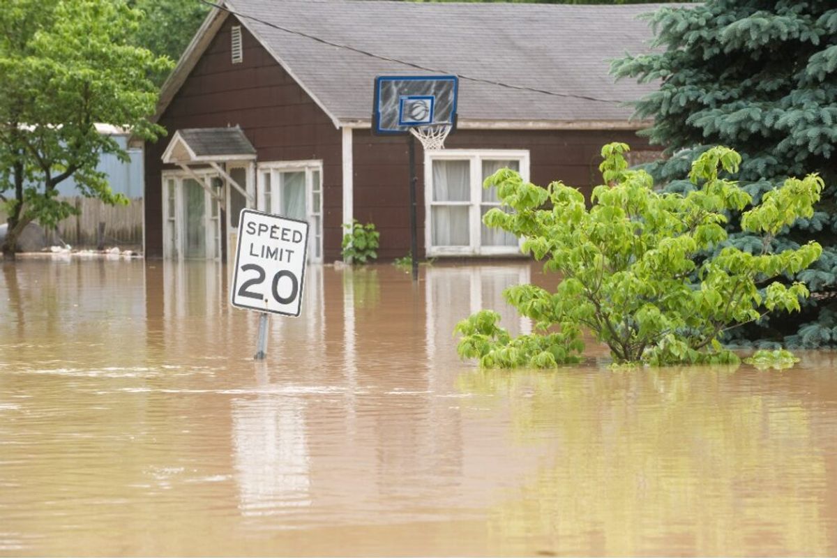 What You Should Know About Flood Damage Restoration: Insights from a Flood and Water Damage Restoration Company in Garland, Texas