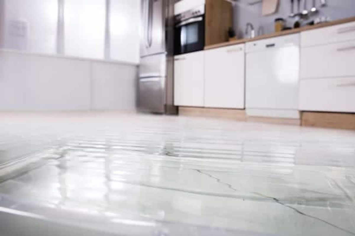 The Top 6 Dangers of Leaving Water Damage Untreated