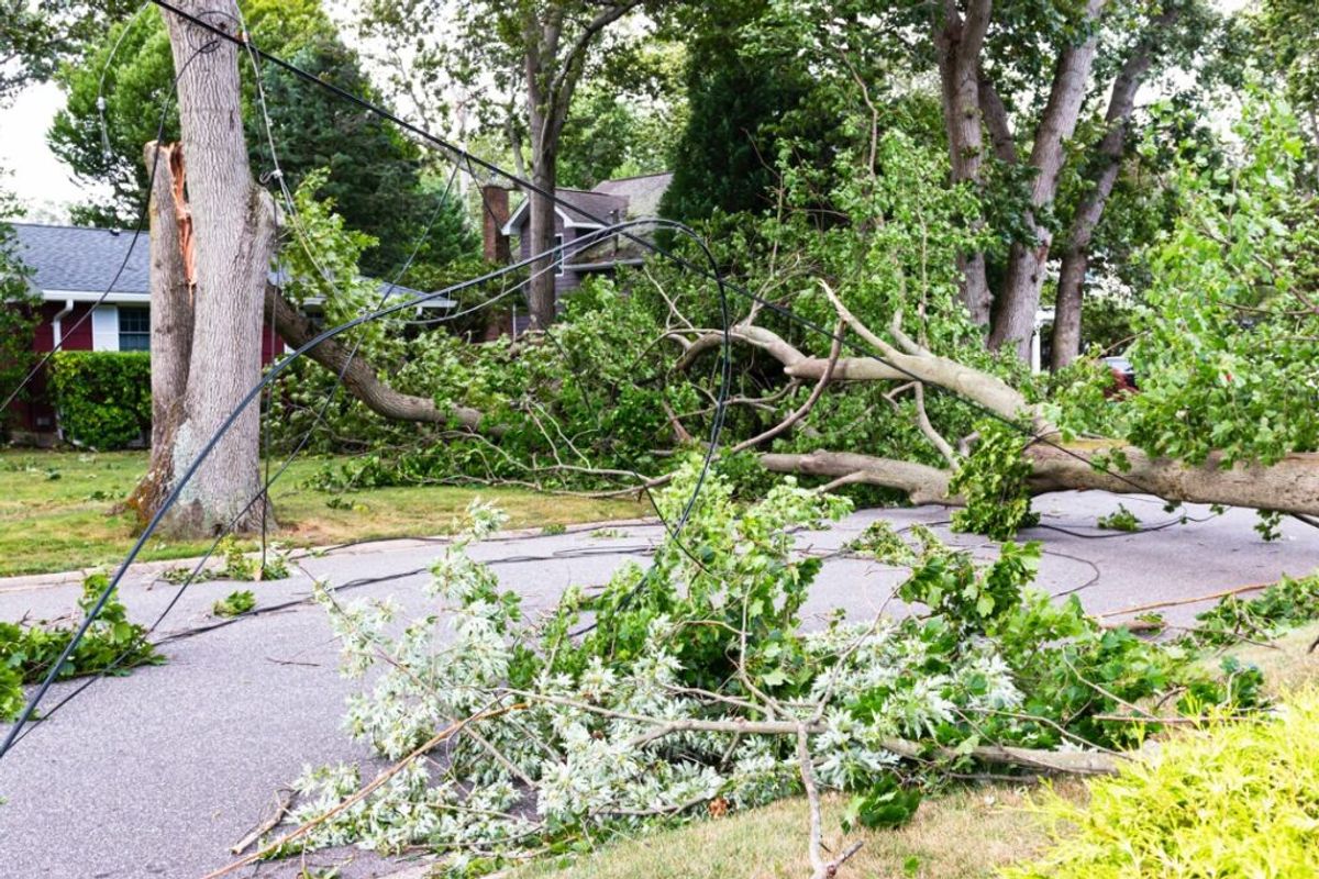 How to Inspect Your Home for Storm Damage: Insights from a Storm Damage Restoration Company in Frisco, Texas