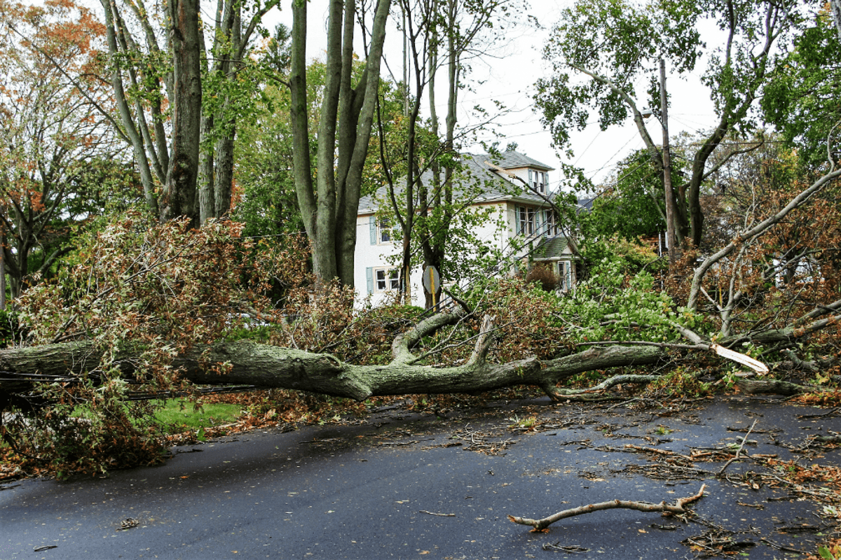 What Is a Storm Damage Assessment? Insights from a Storm Damage Restoration Company in Frisco, Texas
