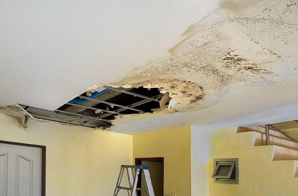 The Benefits of Using Professional Services for Water Damage Restoration in Dallas, TX