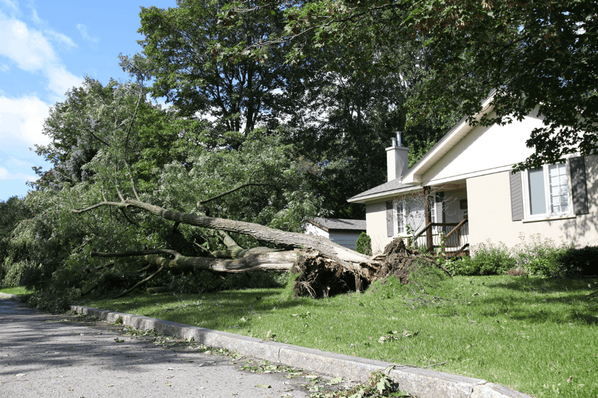 What to Expect When Wind Damage Occurs? Insights from a Wind Damage Restoration Company in Irving, Texas
