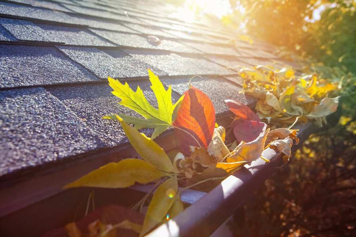 How to Prevent Water Damage This Fall