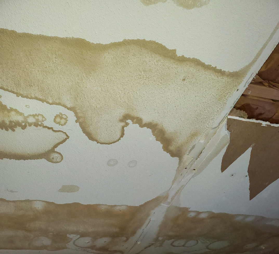 water damage and sewage cleanup
